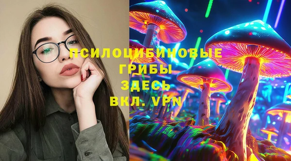 дживик Армянск