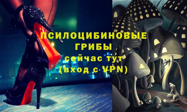 ешки Арсеньев