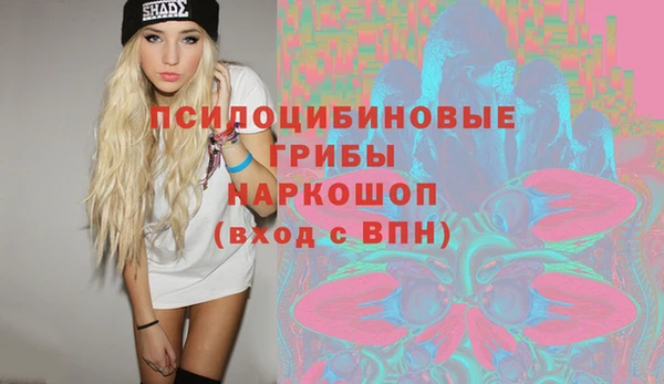 ешки Арсеньев