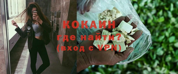 PSILOCYBIN Аркадак
