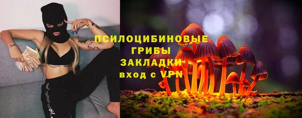 дживик Армянск